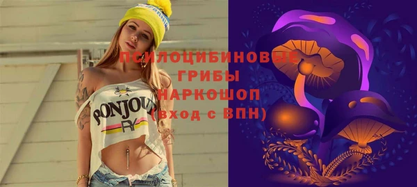 мяу мяу мука Вязьма